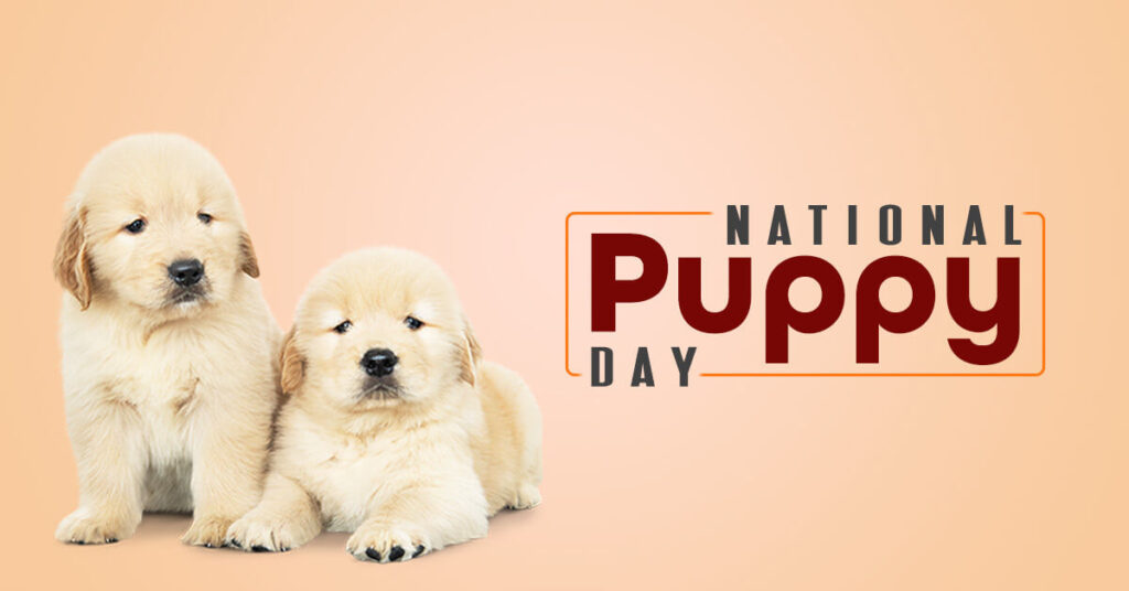 National Puppy Day 2022