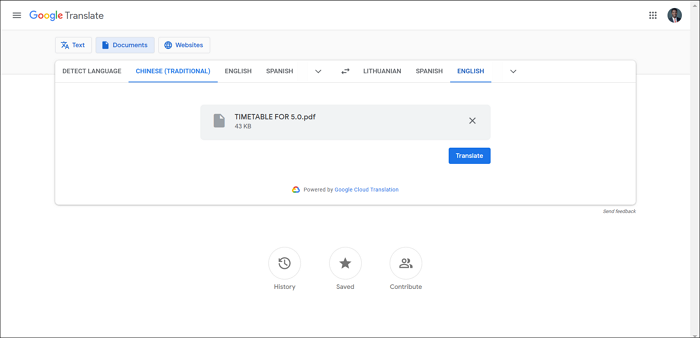 Google Translate PDF