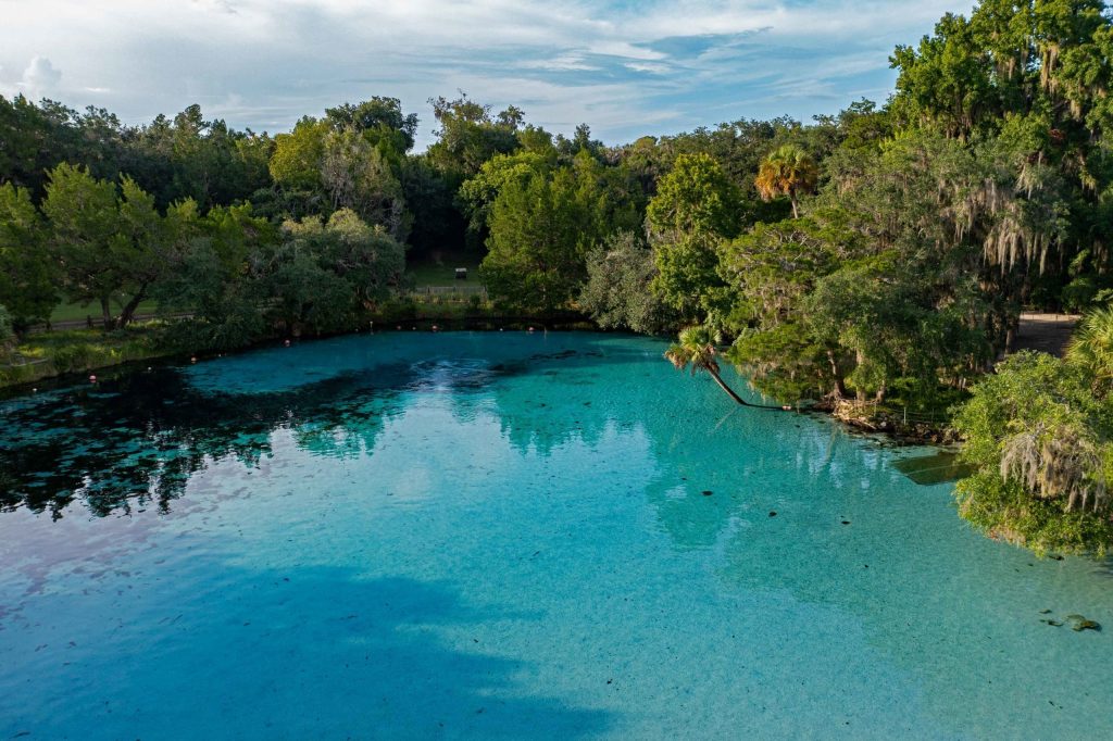 Ocala National Forest