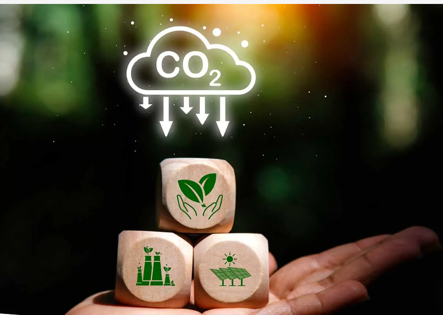 Building Confidence in Carbon Markets: How Insurance Supports the Emergence of a Durable Carbon Market in Egypt and Globally Building Confidence in Carbon Markets: How Insurance Supports the Emergence of a Durable Carbon Market in Egypt and Globally - Insurers Federation of Egypt
