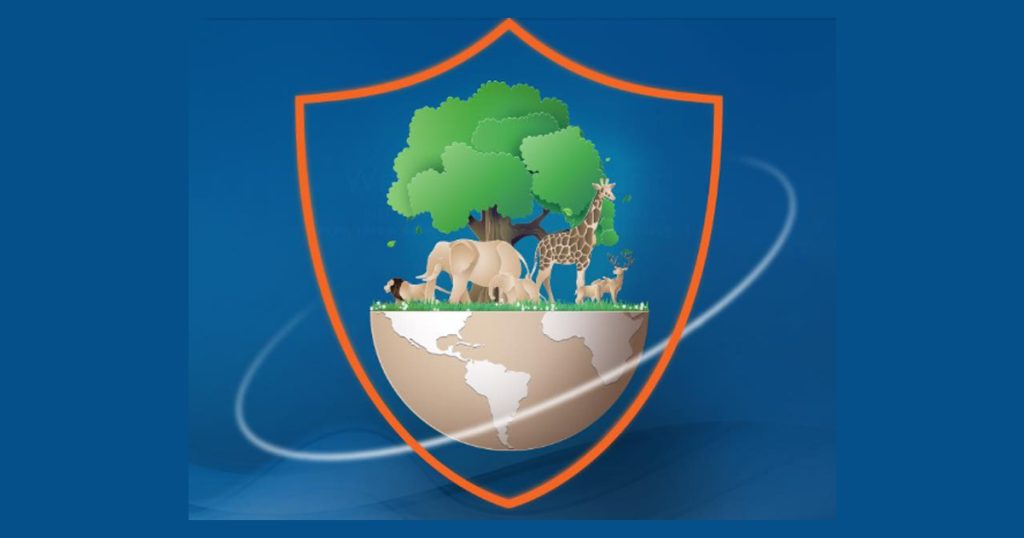 From Nature to Policy: How Insurance Can Redefine the Future of Biodiversity