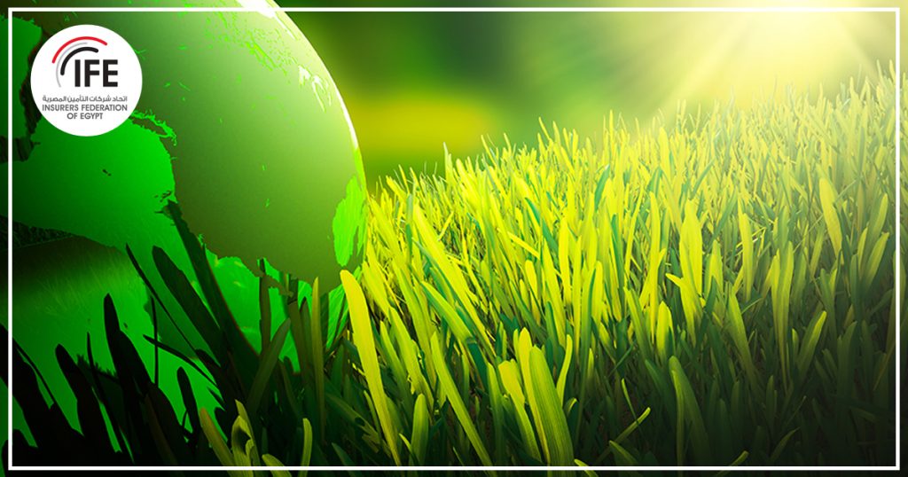 Green Insurance and Its Role in Promoting Economic Sustainability